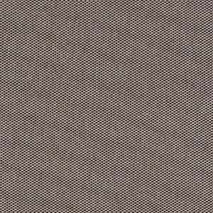 Warm Beige 240